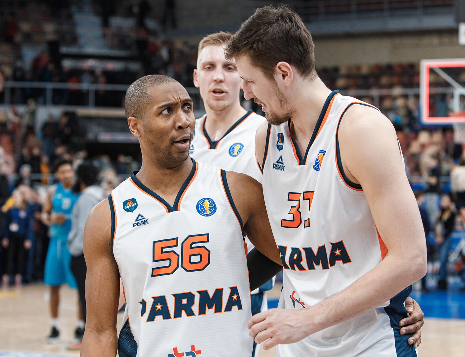 Above the rim. Edition №24