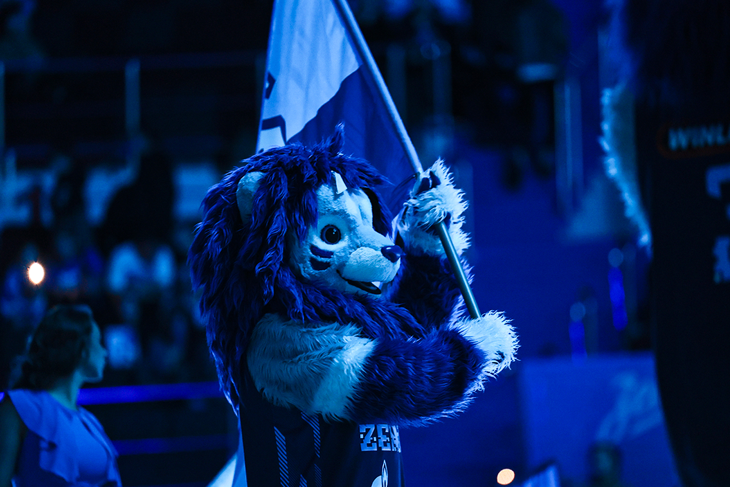 «Зенит» – «Автодор». Обзор матча и лучшие моменты