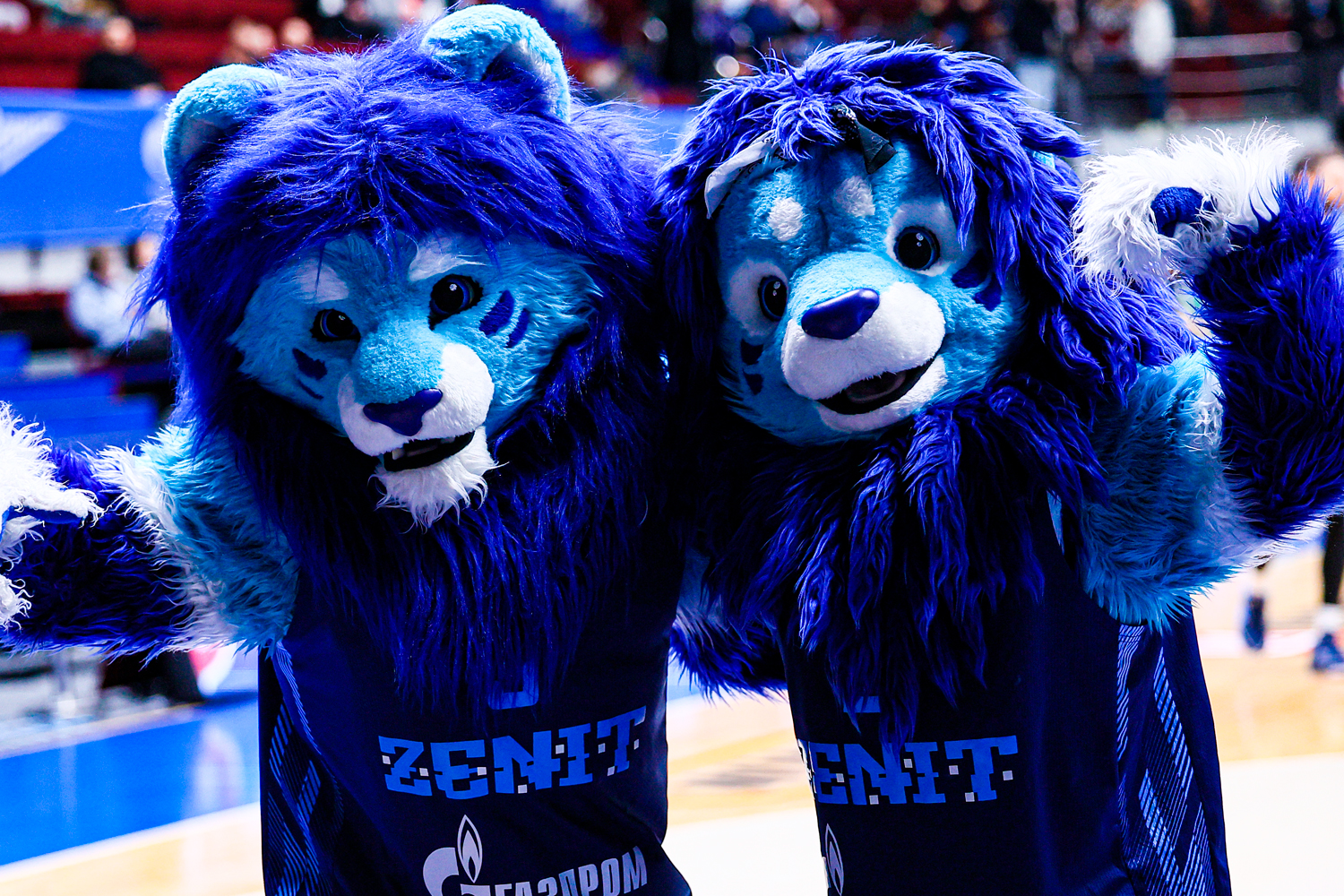 «Зенит» – «БЕТСИТИ ПАРМА». Обзор матча и лучшие моменты