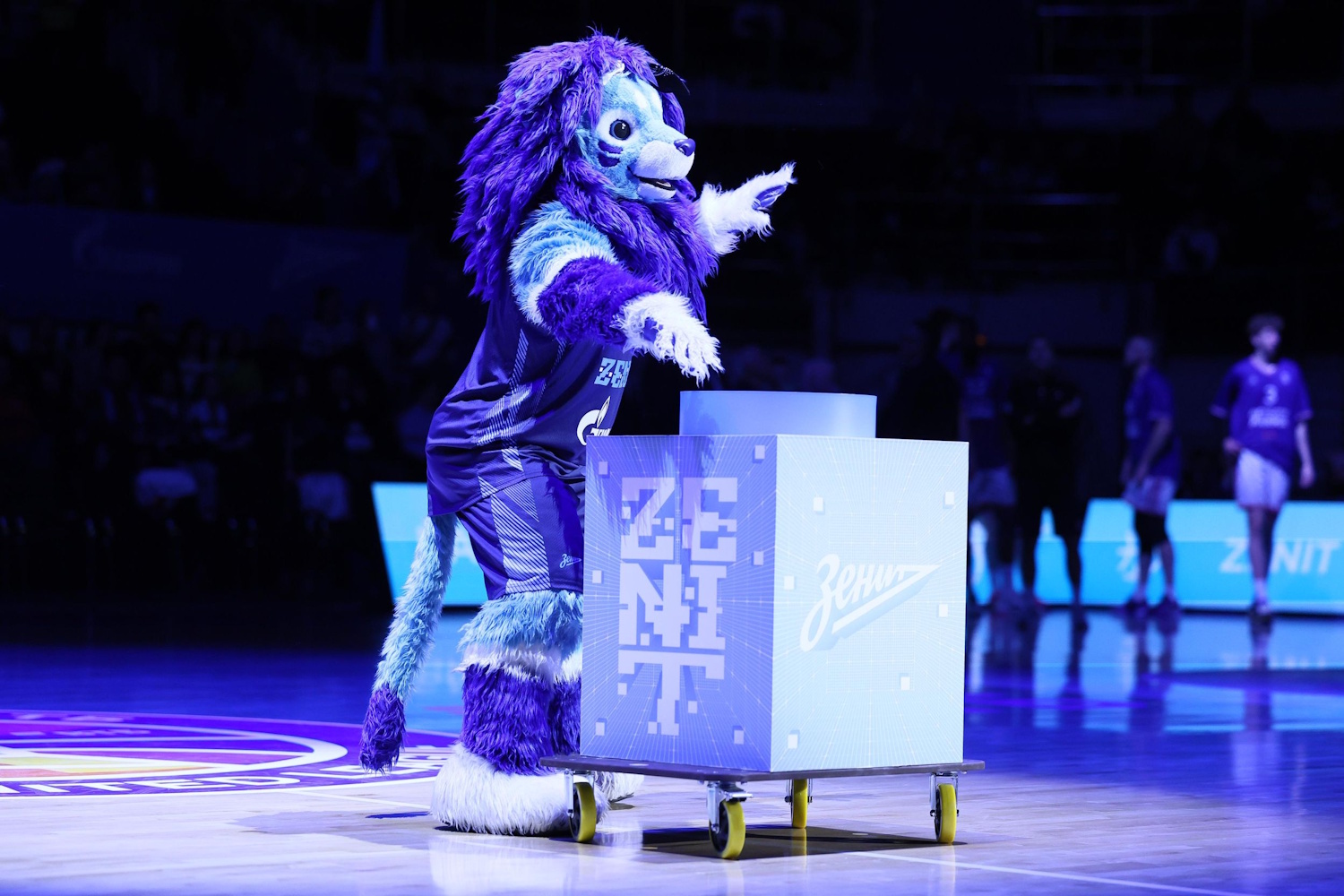 «Зенит» – МБА-МАИ, «Локо» встретится с «БЕТСИТИ ПАРМОЙ». Превью 12 ноября