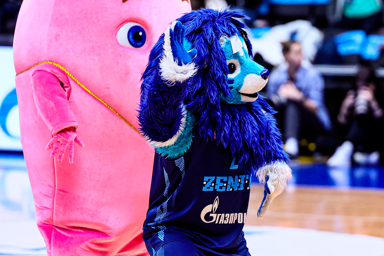 «Зенит» – «Локомотив-Кубань». Обзор матча и лучшие моменты